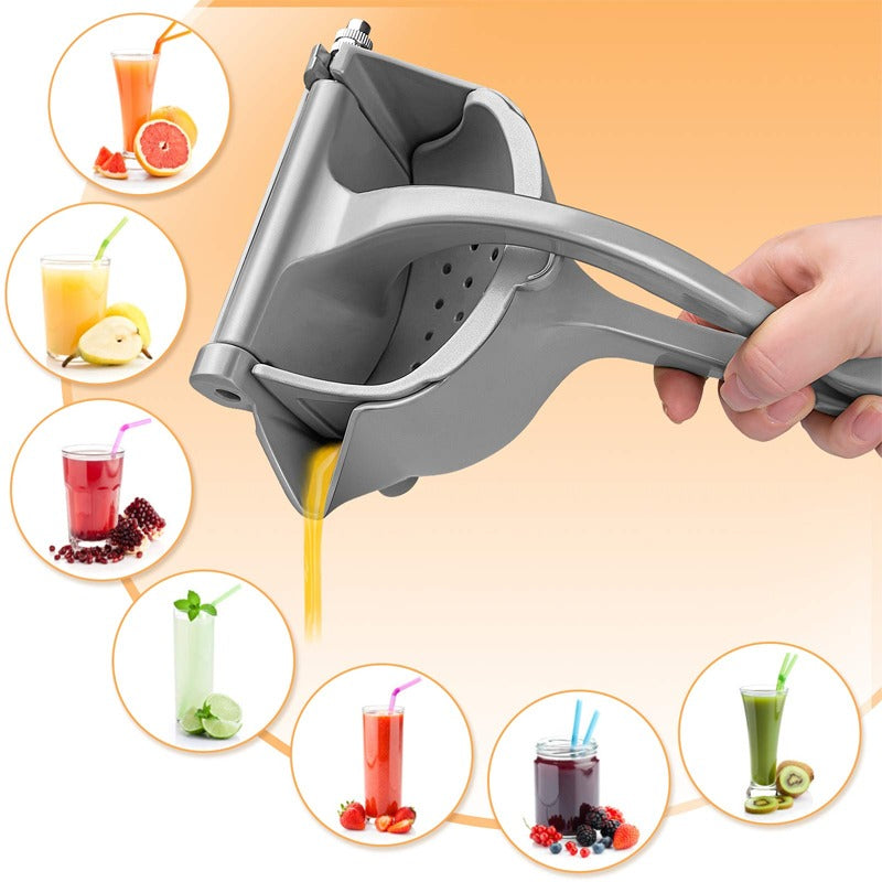 Heavy Duty Press Juicer 705253