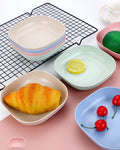 10Pcs Plates Set With Holder Random Colours 2100032