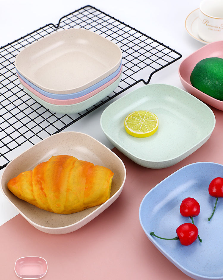 10Pcs Plates Set With Holder Random Colours 2100032