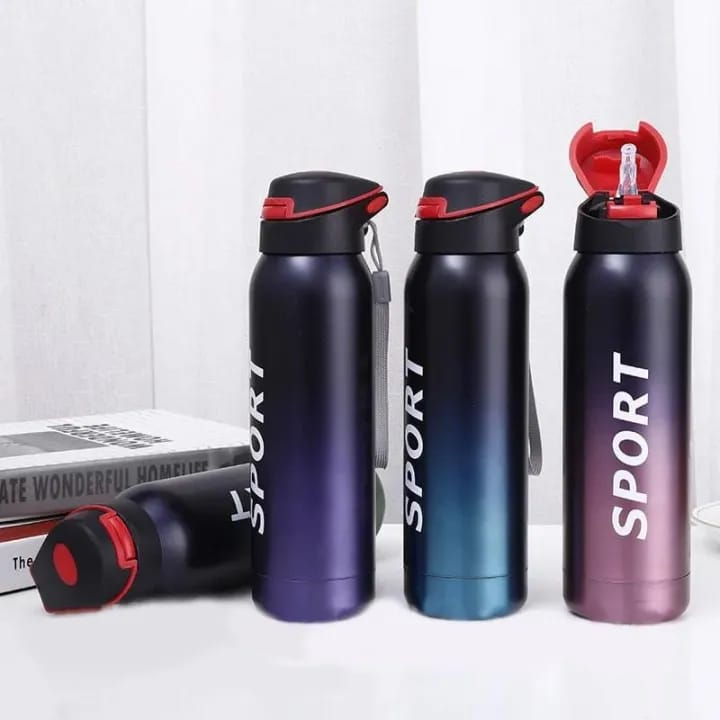 Stainless Steel Double Wall Vacuum Flask | 500 ml Sports Water Bottle | With Straw | Insulated