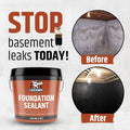Black Hydra Agent Foundation Sealant 300G