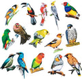 3D Art Crafts Birdswall Stickers Pack Of 8 Pcs
