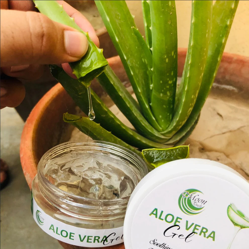 Aloe Vera Gel 100G