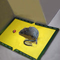 Mouse And Rat Glue Board Book Type