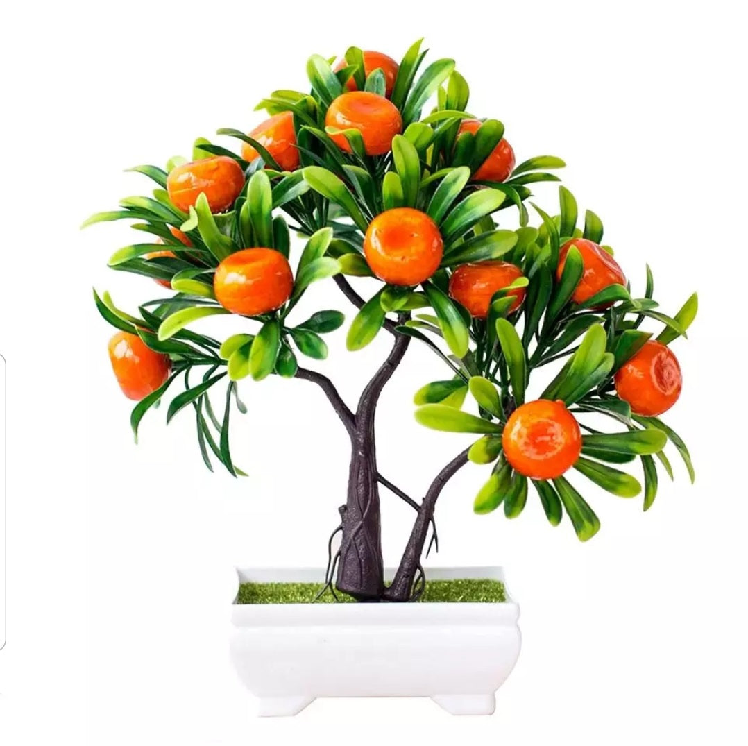 Beautiful Fruit Bonsai Tree for Home Decor - Apple Tree