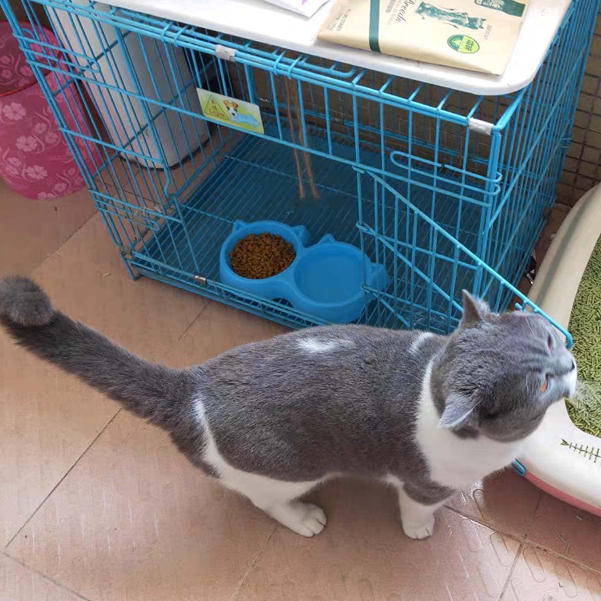 Cat Shaped Double Food Bowl For Pets Plastic Random Color