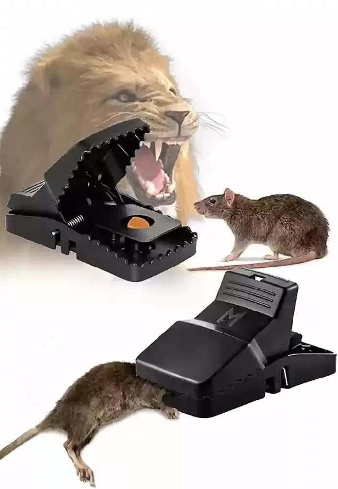 Durable Mouse Trap Pack Of 3 – Reusable Rodent Catcher For Home, Kitchen, And Office Use With Strong Spring Mechanism And Easy Setup