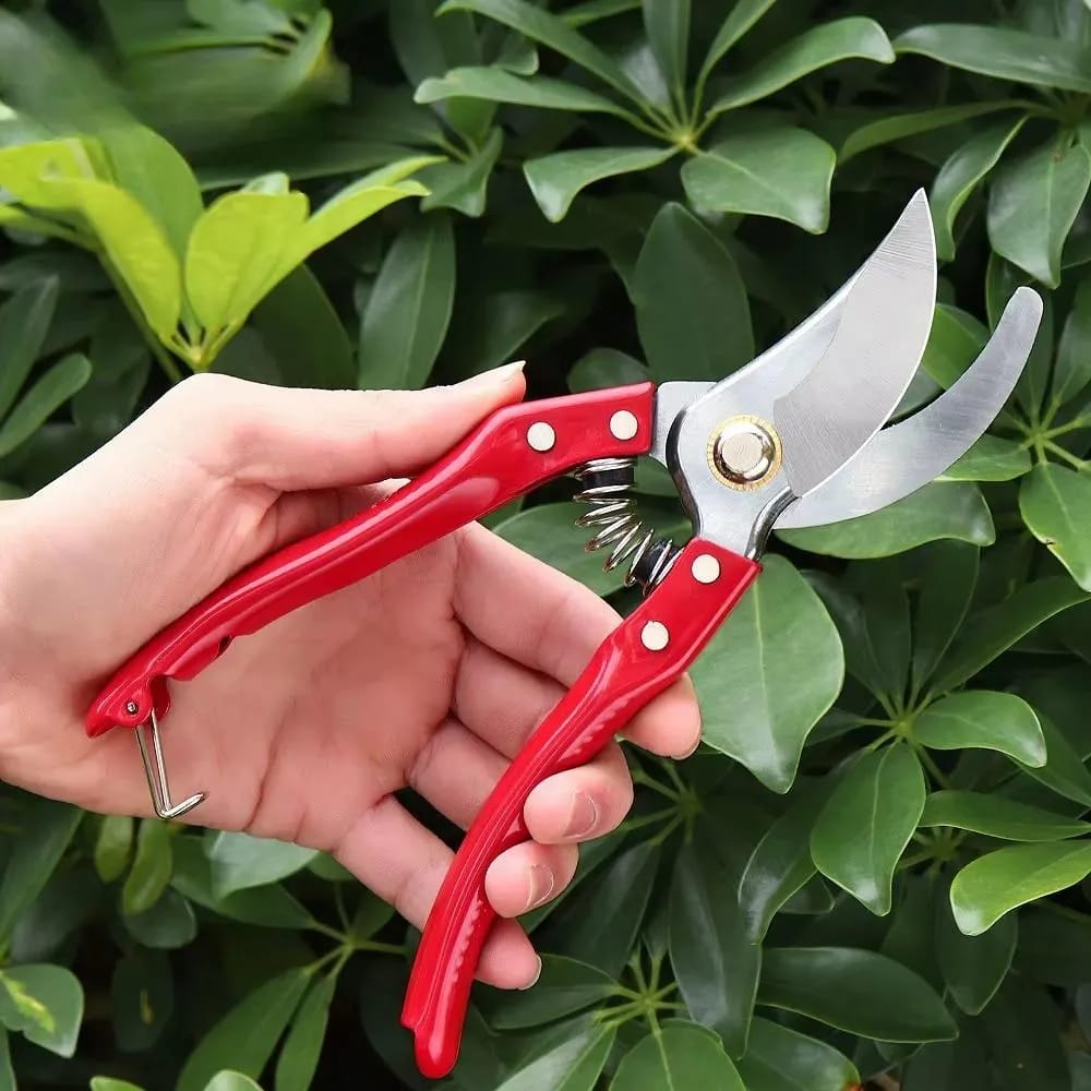 High Carbon Steel Pruning Shears Cutter – Stainless Steel Gardening Scissor for Plant & Branch Cutting